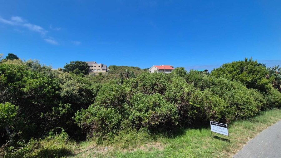 0 Bedroom Property for Sale in Brenton On Sea Western Cape